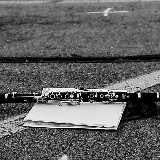 Monochromatic image clarinet lying white